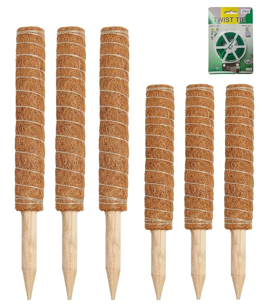 ミ*ミ様 MOSS STICK U5 154cm ミ*ミ様 MOSS STICK U5 154cm Amazon.com : Moss Pole 56 Inch